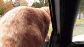 Прикольные гифки