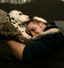 Прикольные гифки