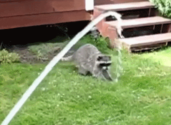 Прикольные гифки