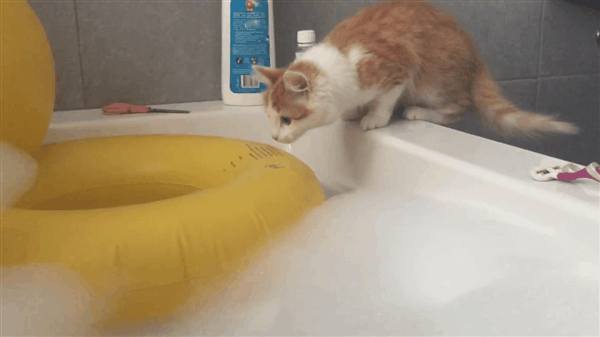 Прикольные гифки