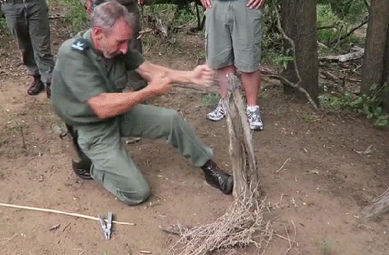 Прикольные гифки