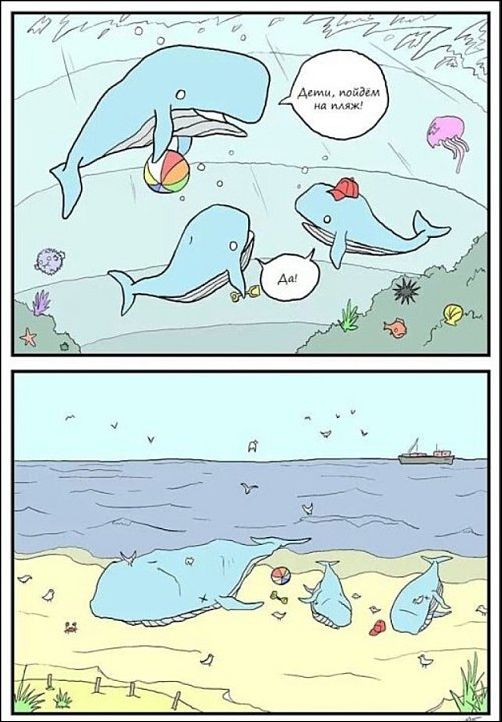 Комиксы и карикатуры