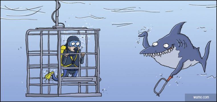 Комиксы и карикатуры