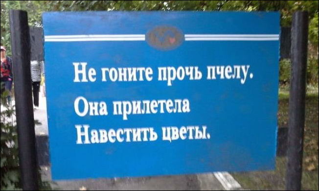Смешные надписи и объявления