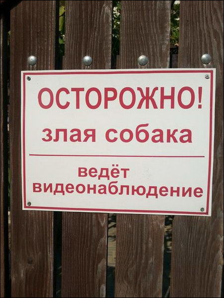 Смешные надписи и объявления