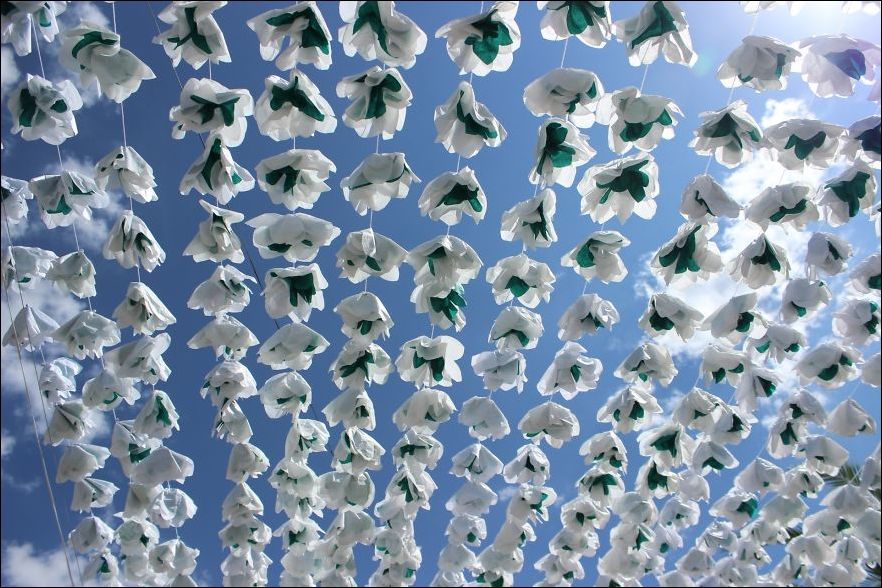 Бумажные цветы