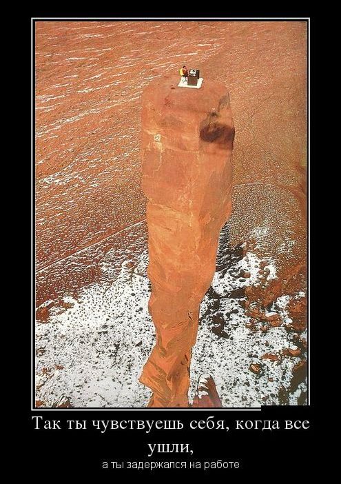 демотиваторы