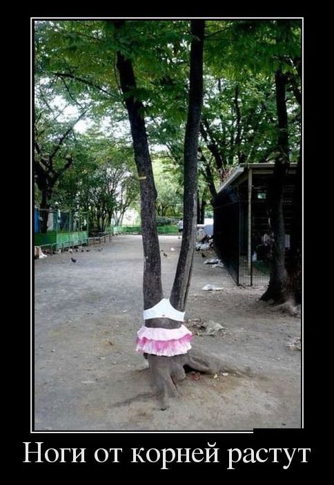 демотиваторы