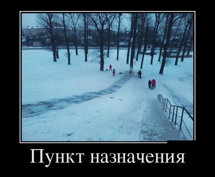 демотиваторы