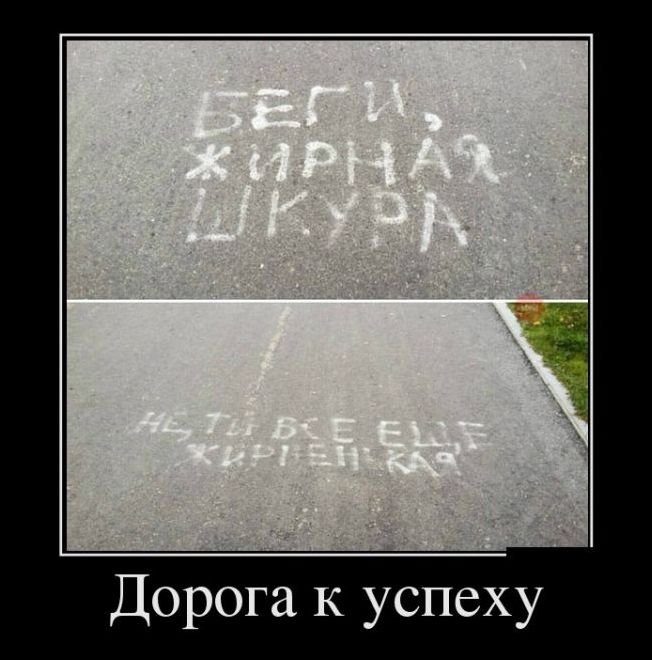 демотиваторы