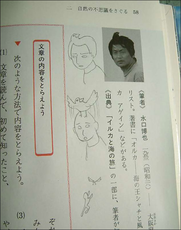 рисунки в учебниках