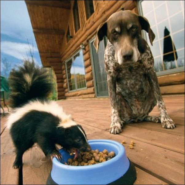 фото приколы