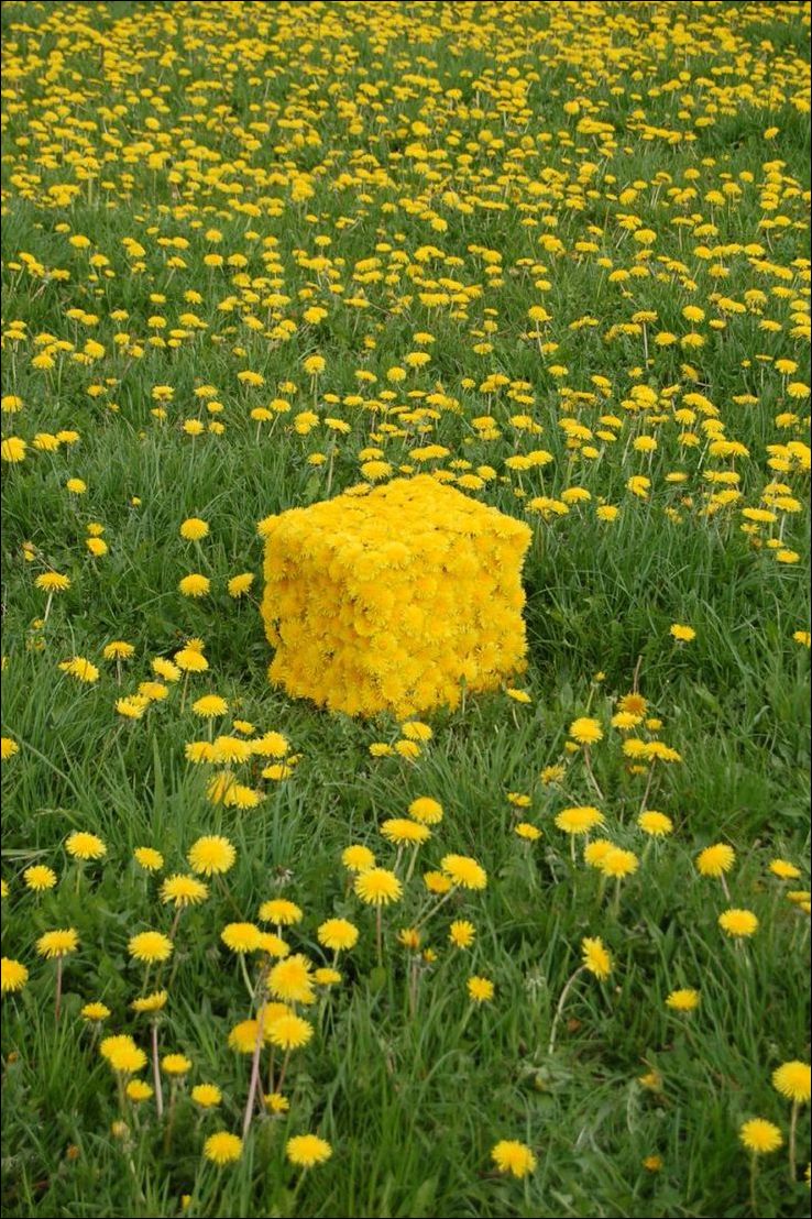 фото приколы