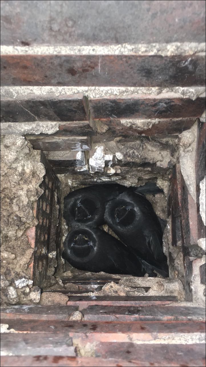 фото приколы