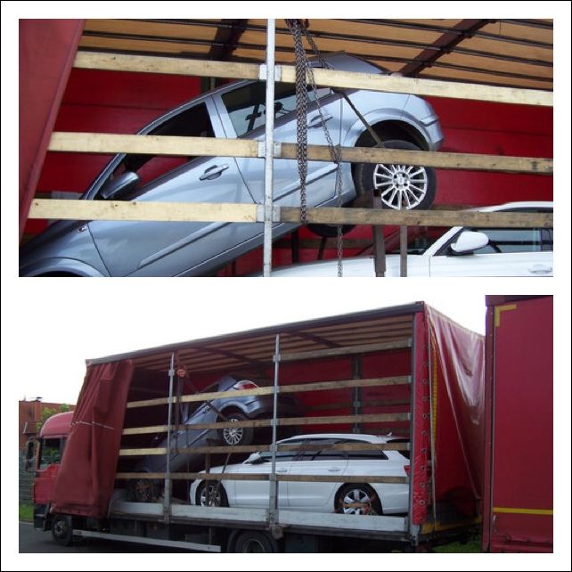 фото приколы