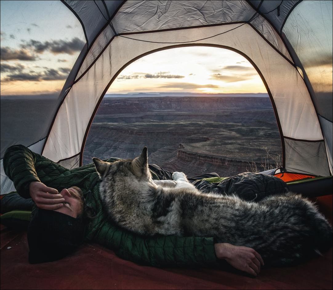 фото приколы