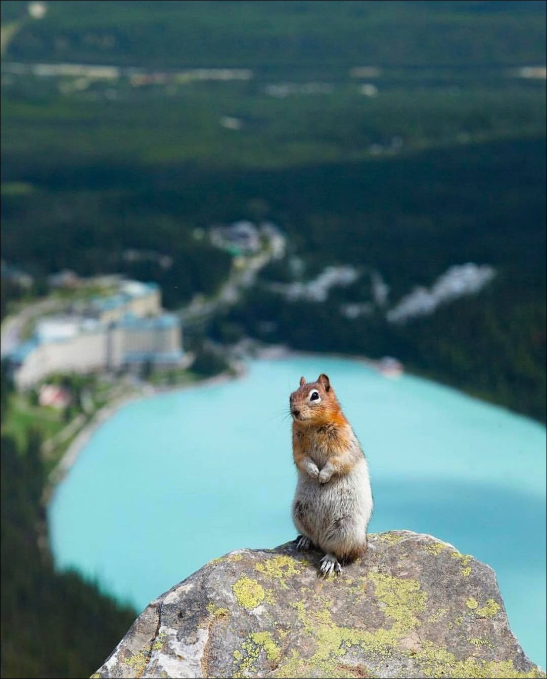 фото приколы