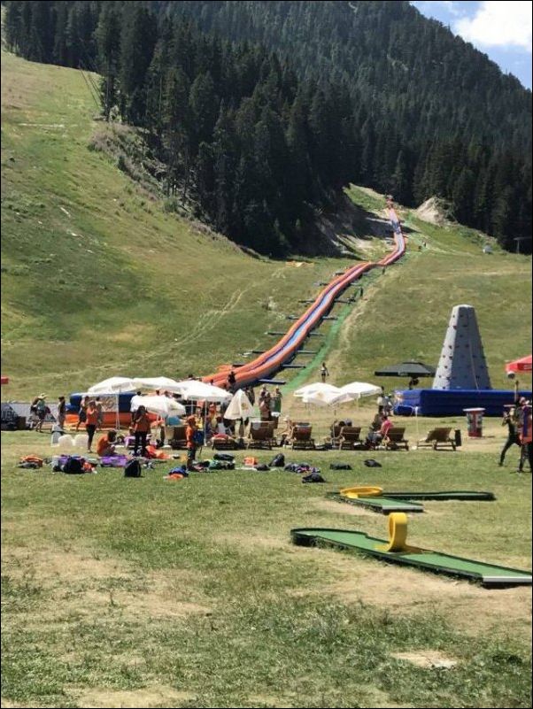 фото приколы