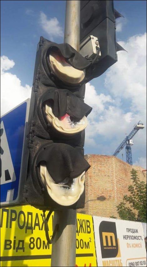 фото приколы