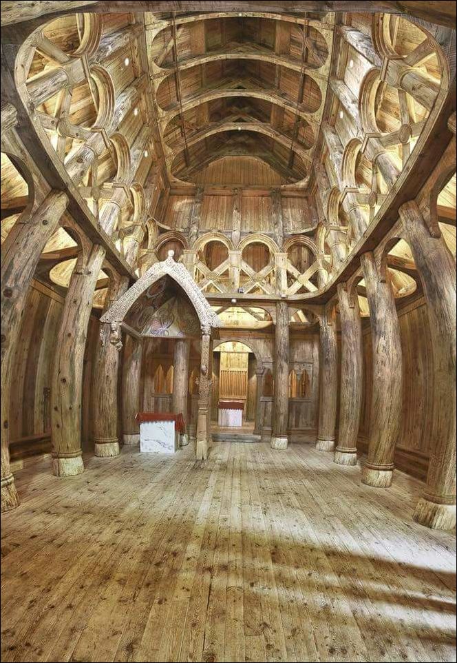 фото приколы