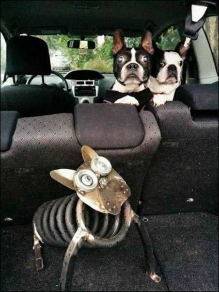 фото приколы