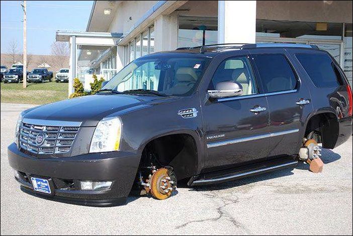 фото приколы