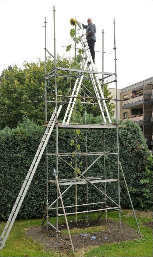 фото приколы