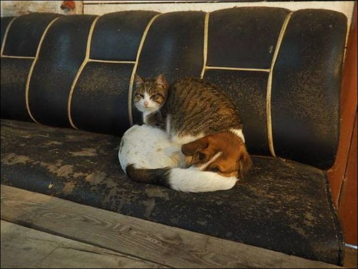 фото приколы