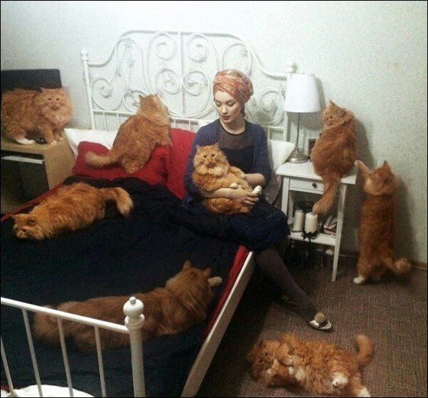 фото приколы