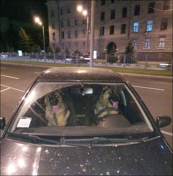 фото приколы