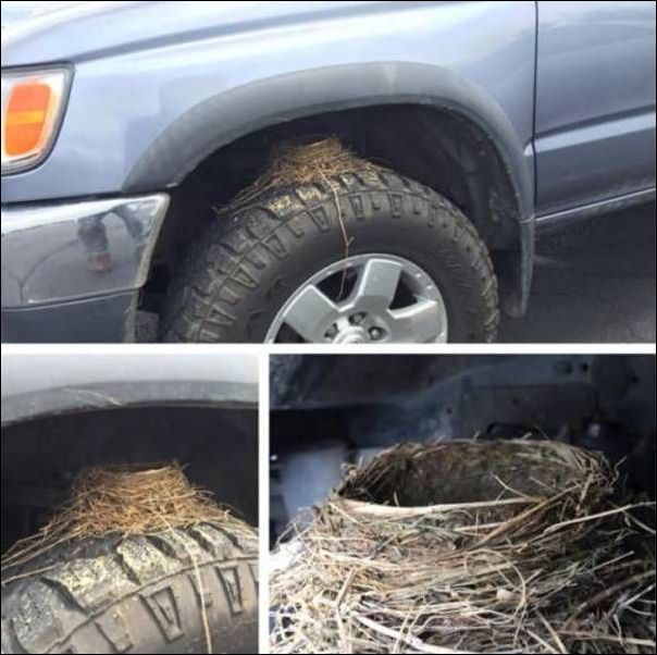 фото приколы