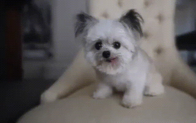 Прикольные гифки