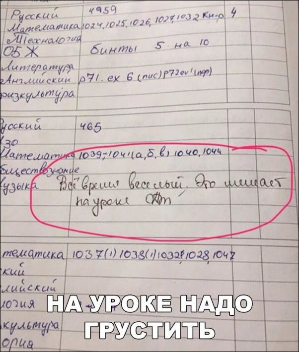 прикольные картинки