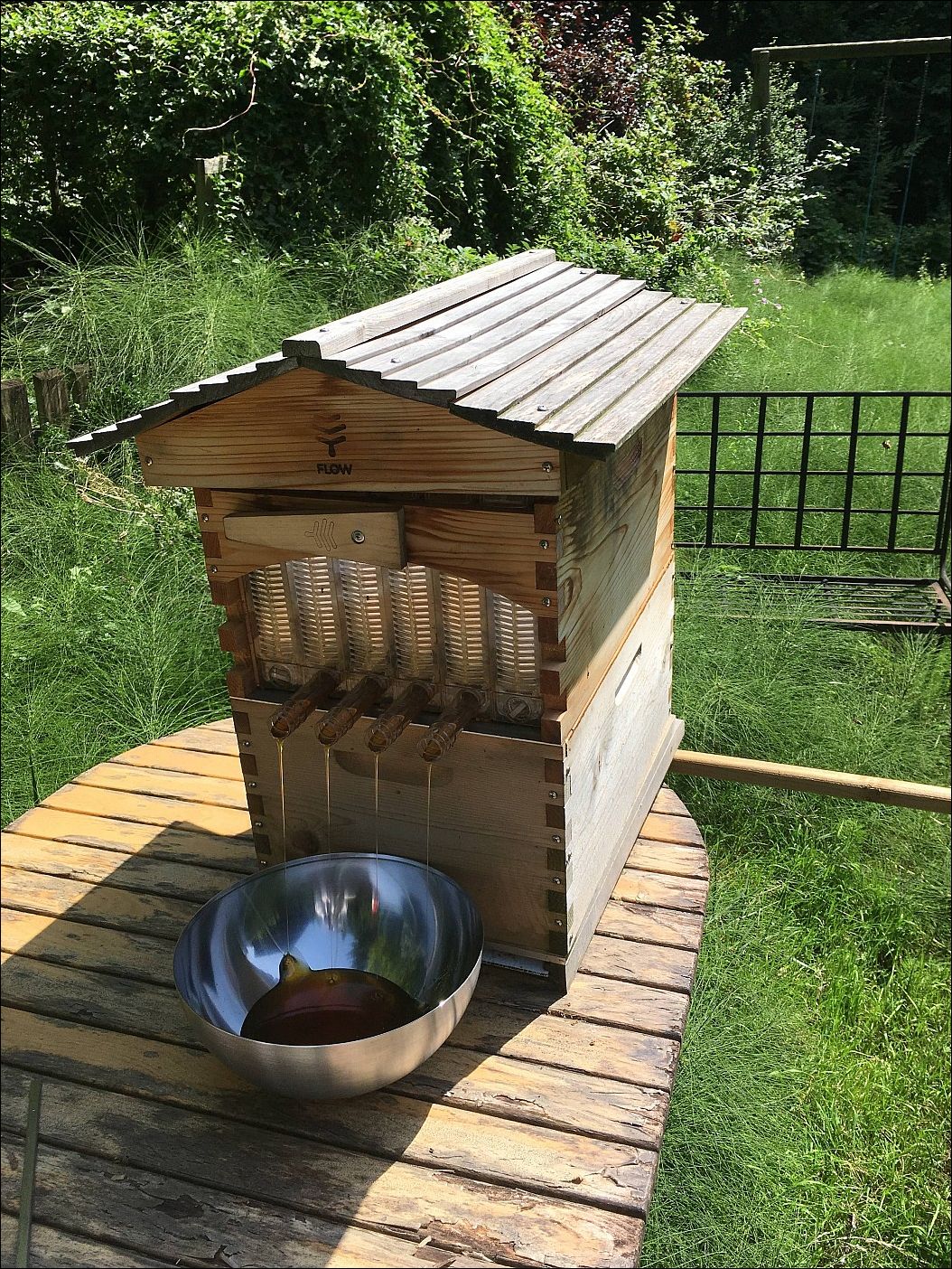 фото приколы