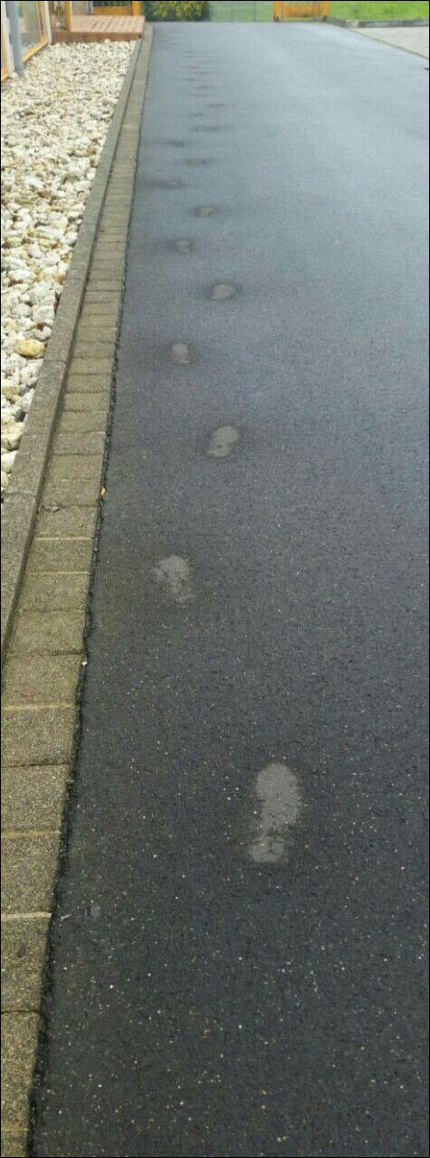 фото приколы