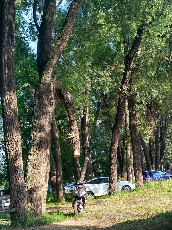 фото приколы