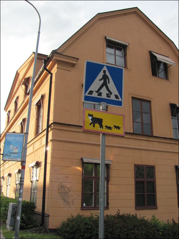 фото приколы