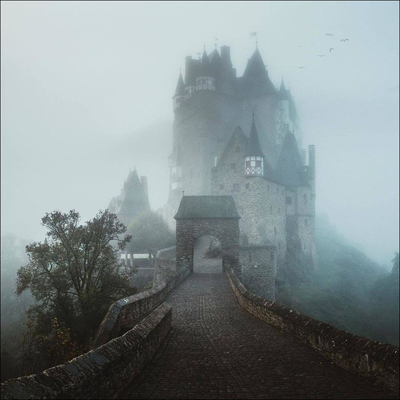 фото приколы