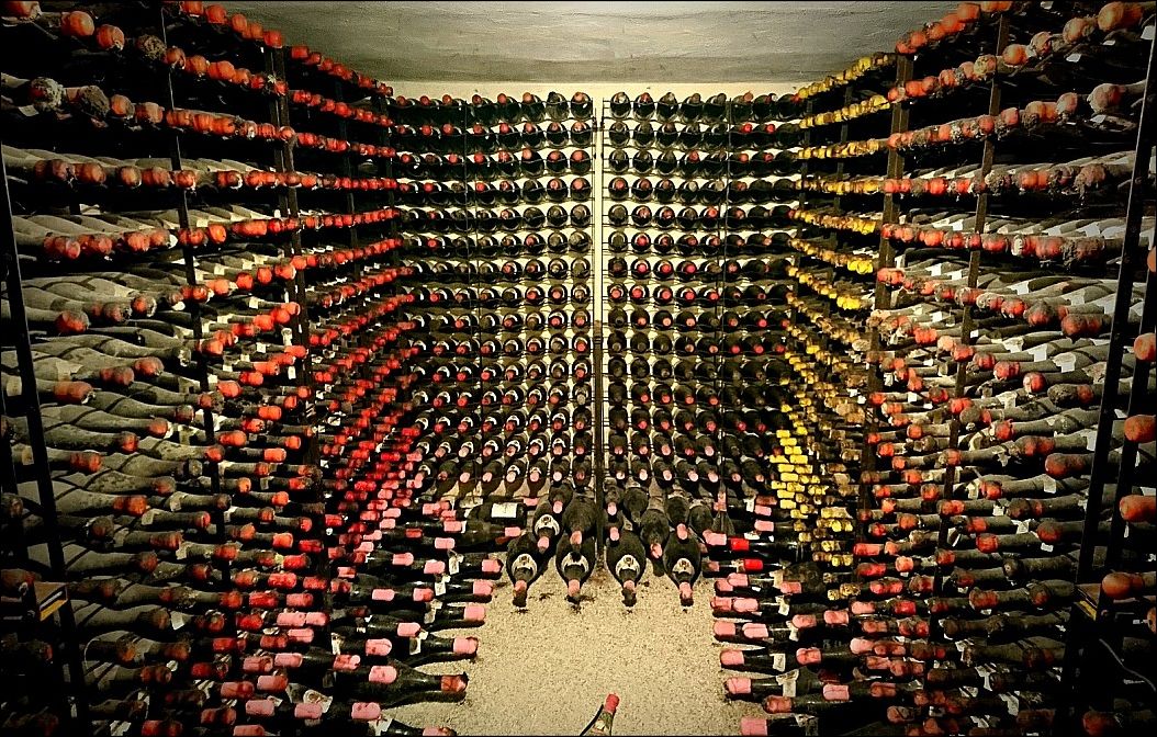 фото приколы