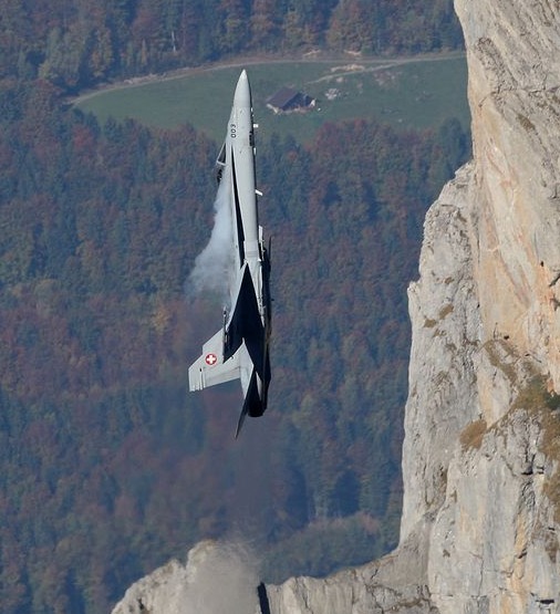 фото приколы