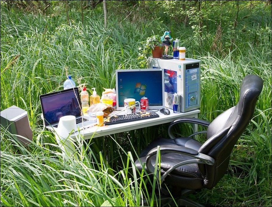 фото приколы