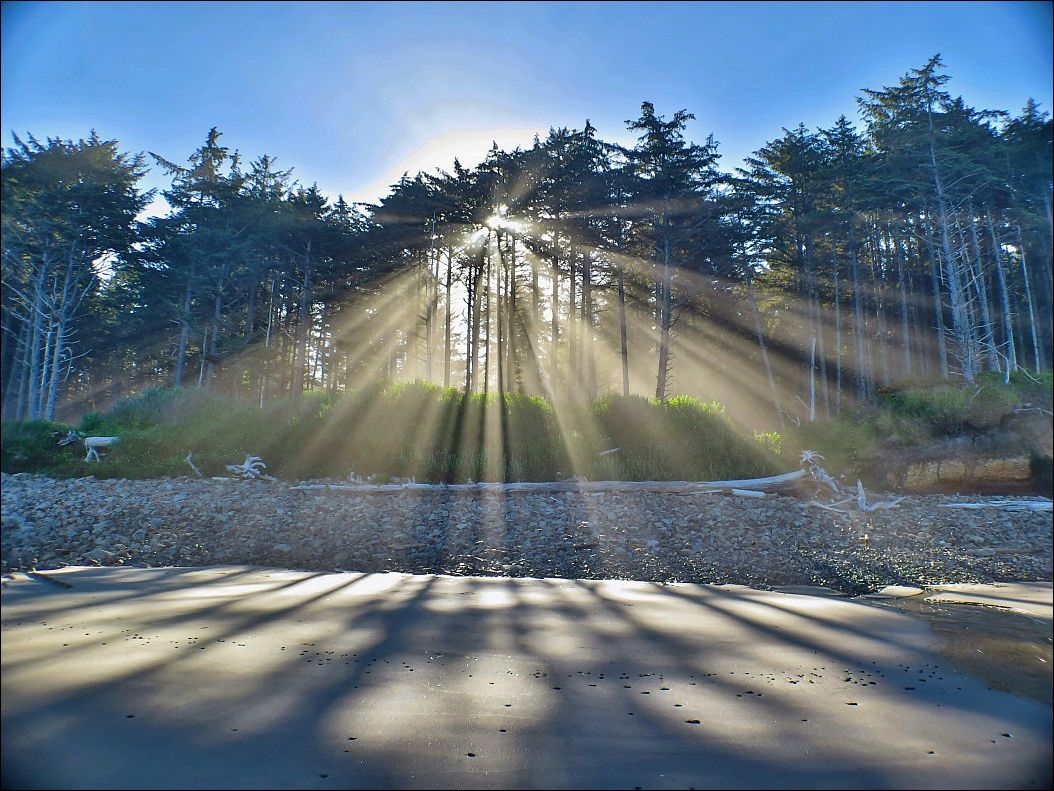 фото приколы