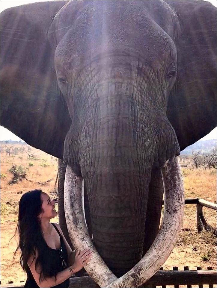 фото приколы