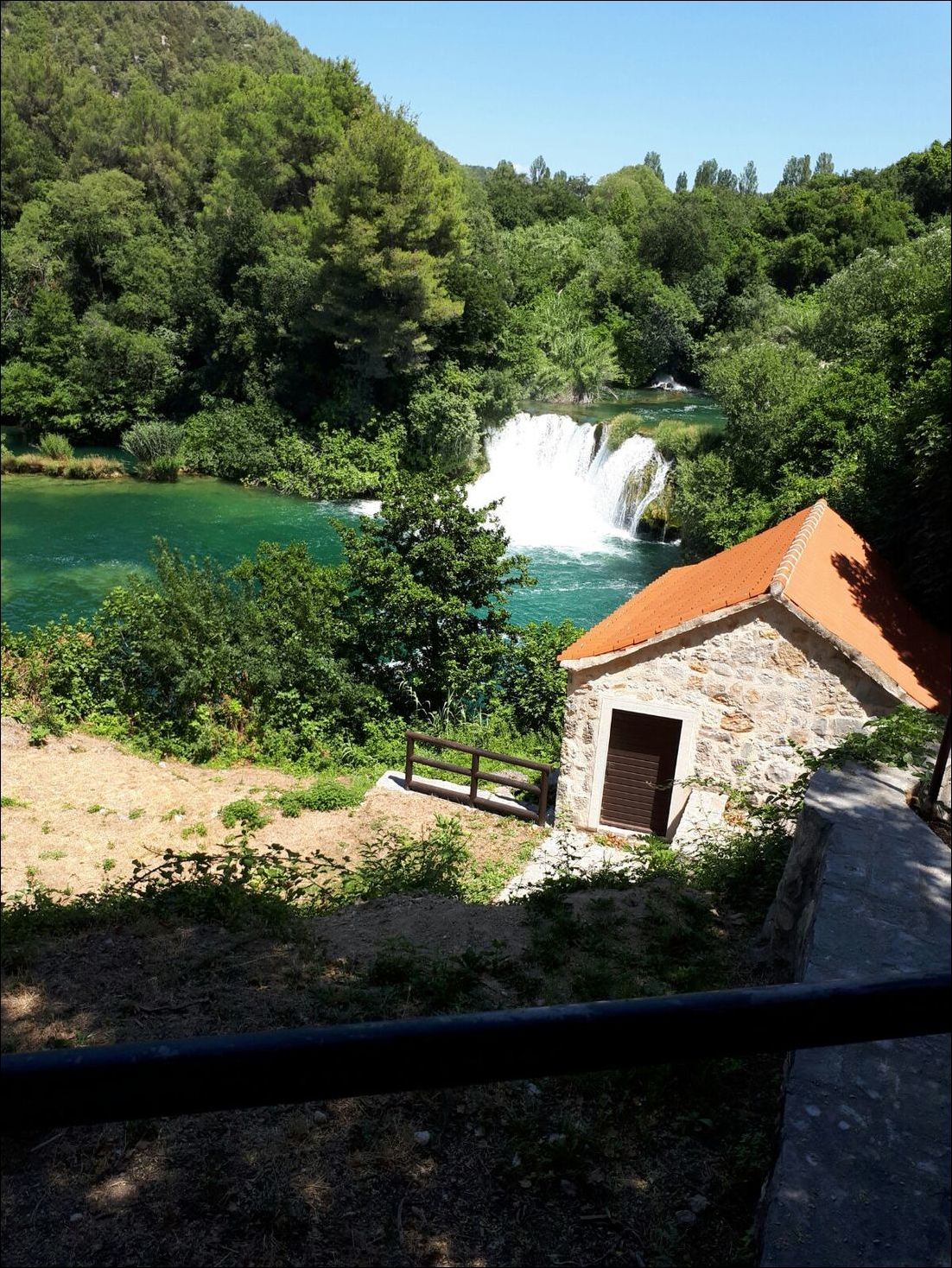 фото приколы