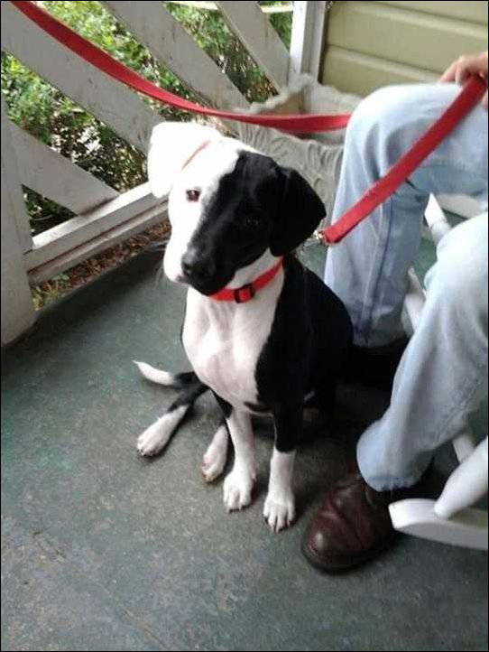 фото приколы