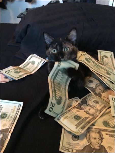 фото приколы