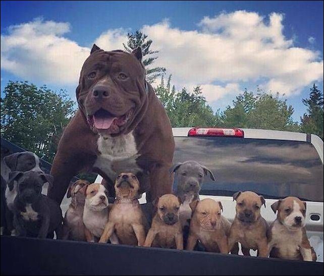 фото приколы