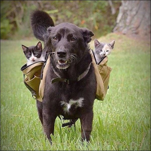 фото приколы