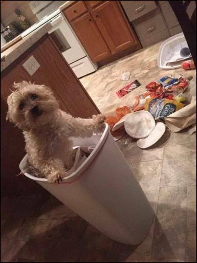 фото приколы