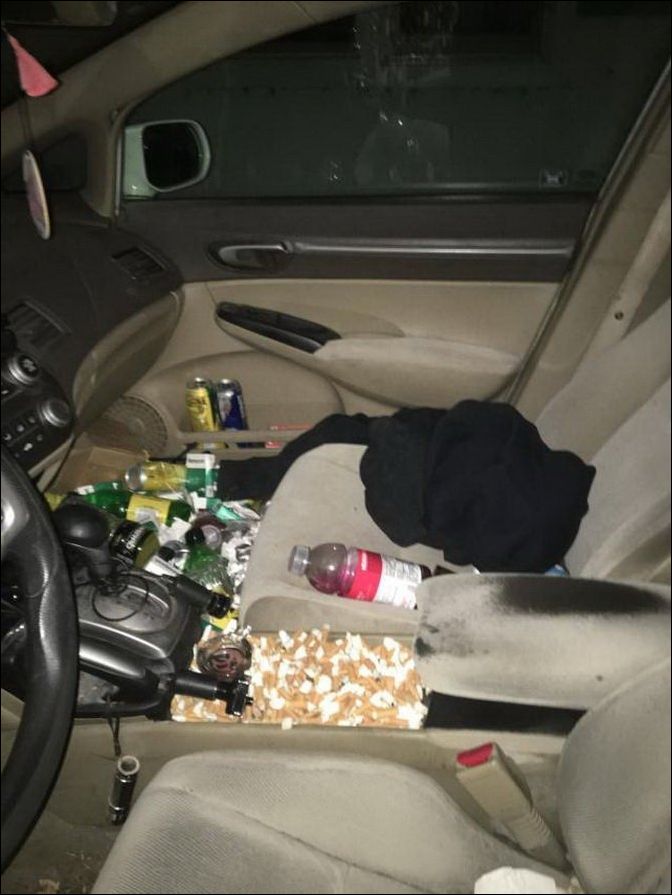 фото приколы